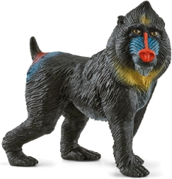 Mandrill Figure Wild Life