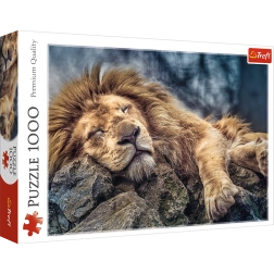 Пъзел 1000 части Спящ лъв