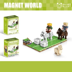 Конструктор Magnet World Езда на кон