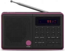 Radio Pliszka USB FM Black