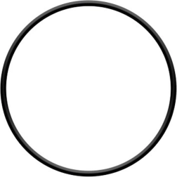 O-ring for the filter head ProStar 4 and ProStar 6