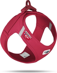 Curli Air-Mesh dog harness with buckle, red, XL (12–18 kg)