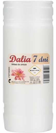 Set of 10 Dalia paraffin inserts 19 cm (168 h)
