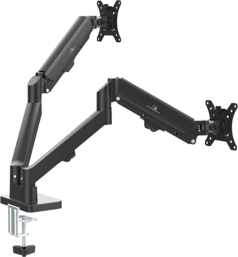 Dual arm for two screens