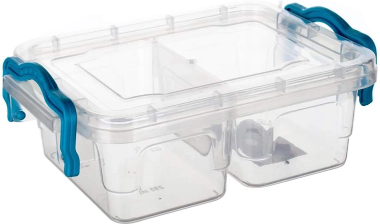 Gema Divided Rectangular Container 2×250 ml with Turquoise Handles