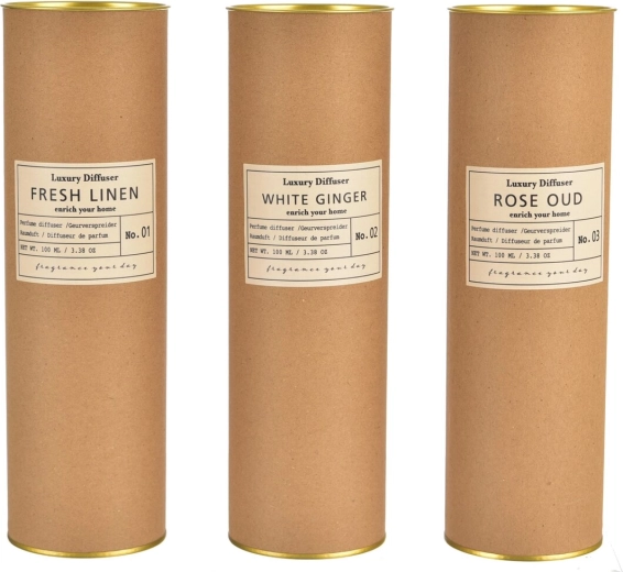 Reed aroma diffuser in a kraft tube 100 ml (mix of 3 variants)