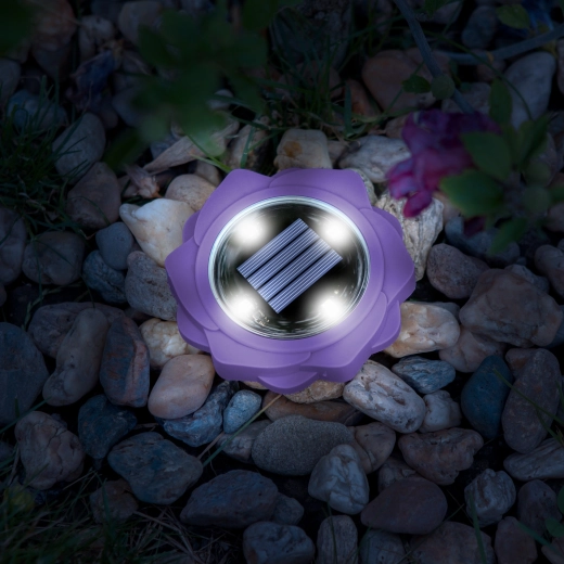 Purple Solar LED Garden Light with Ground Stake