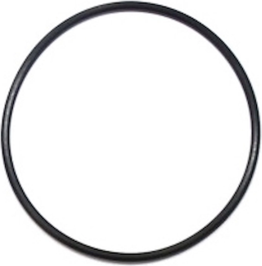 O-ring for filter head seal for ProStar Profi 8