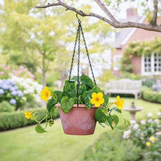 Ideal length for hanging plants