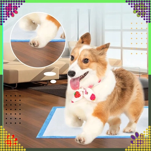 Комфорт за кученца и по-възрастни кучета