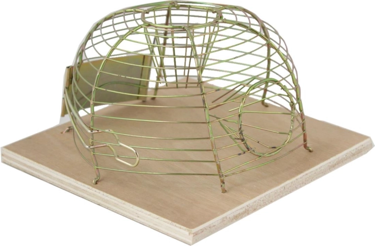 Живоловен капан за мишки 14 × 14 см