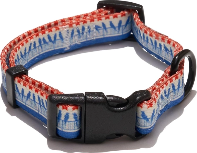 Explorer Dog collar with bird pattern, size S (24–36 cm, width 1.5 cm)