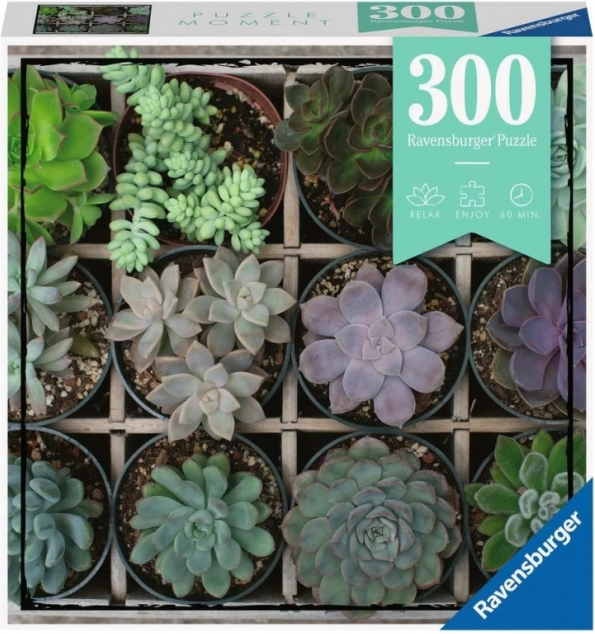 Ravensburger Puzzle Moments – растителни мотиви, 300 части