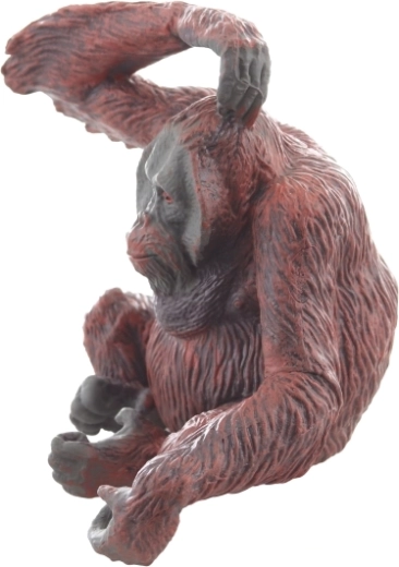 Стабилна поза за излагане и игра