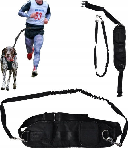 Hands-free running and walking with your dog