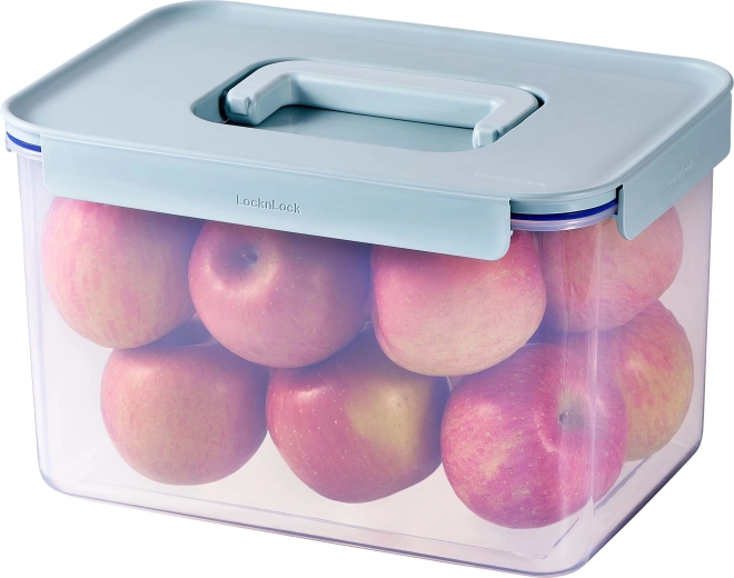LocknLock Classic Plus food storage container 6 l mint