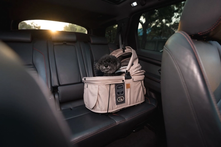 Sturdy and safe construction for travel