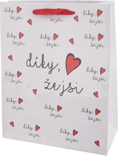 Paper gift bag “Thank you for being you” 26 × 10 × 32 cm
