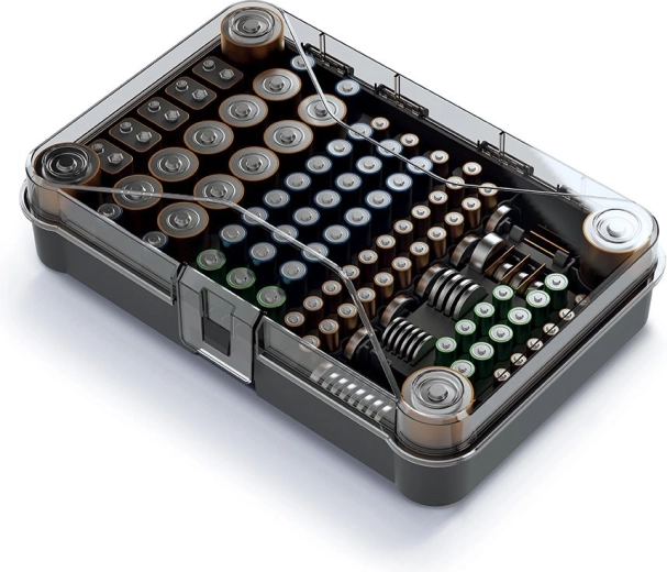 Molded compartments for different cell types