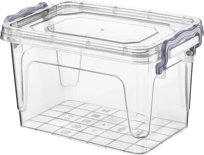 Rectangular Plastic Container Maxi Multi Box 1 L with Lid