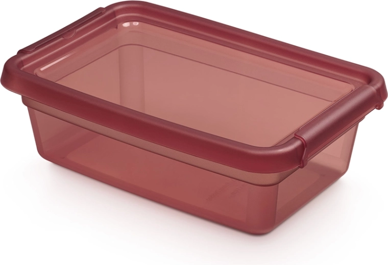 Basestore storage box with lid and clips 3 l, 19 × 28 × 9 cm, rhubarb