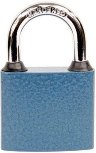 RICHTER OVAL 52 padlock keyed alike