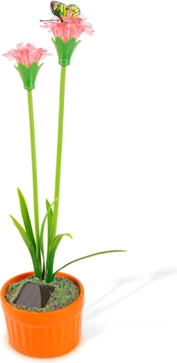 Cheerful garden decoration