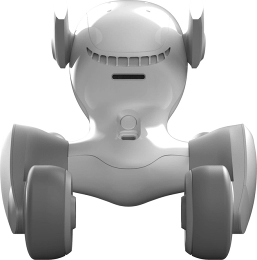 Smart and safe home navigation