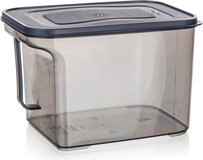 Plastic container with handle 3.25 l Zoya