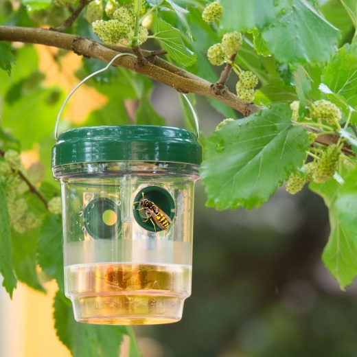 Hanging Solar Insect Trap