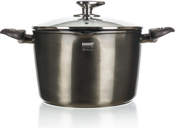 Non-stick Pot 6.2 l METALLIC PLATINUM, 24 cm with Glass Lid
