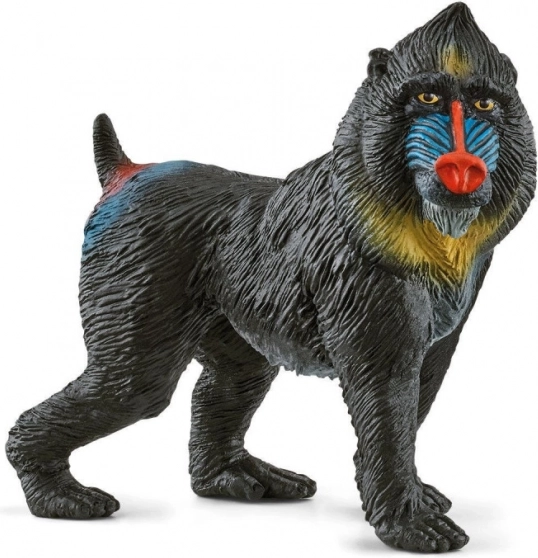 Mandrill Figure Wild Life