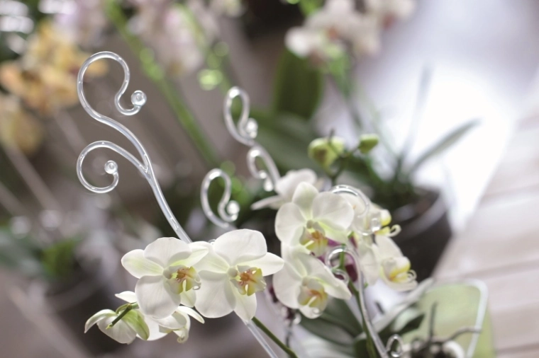 A decorative support that highlights the beauty of blooms