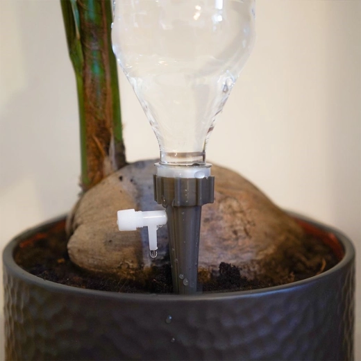 Стабилно закрепване в саксията