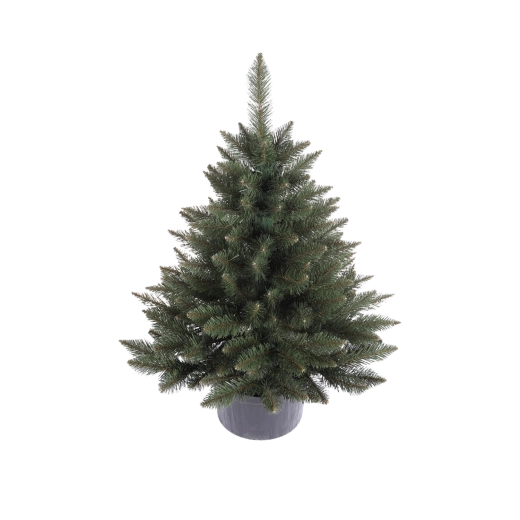 Live Christmas tree spruce in a pot approx. 0.8 m