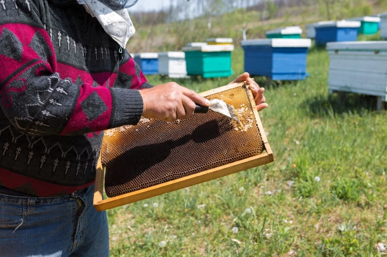Ideal for work in the hive and during extraction