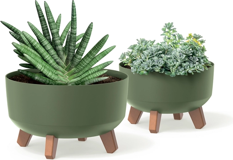Saucer for clean and safe growing