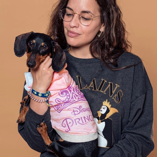 Disney Princesses Dog Hoodie Pink Size XS - 1 piece