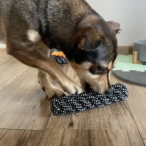 Durable rope for tugging and supporting dental hygiene