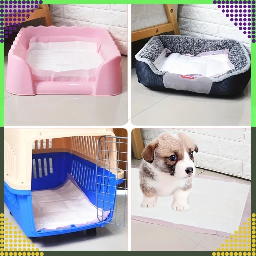 Versatile use at home and on the go