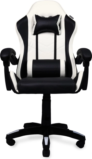 Two support cushions