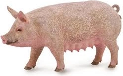 Collecta Sow