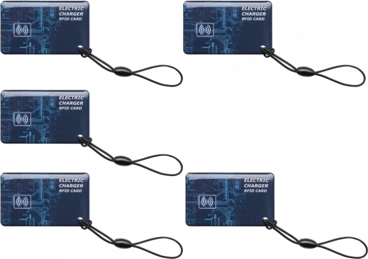 RFID authorization + 5 access cards