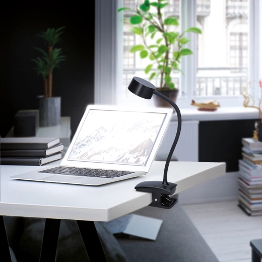 Clip mounting and flexible neck