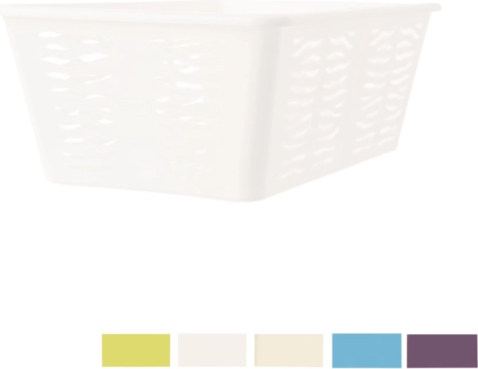Modern Zebra design and assorted colors