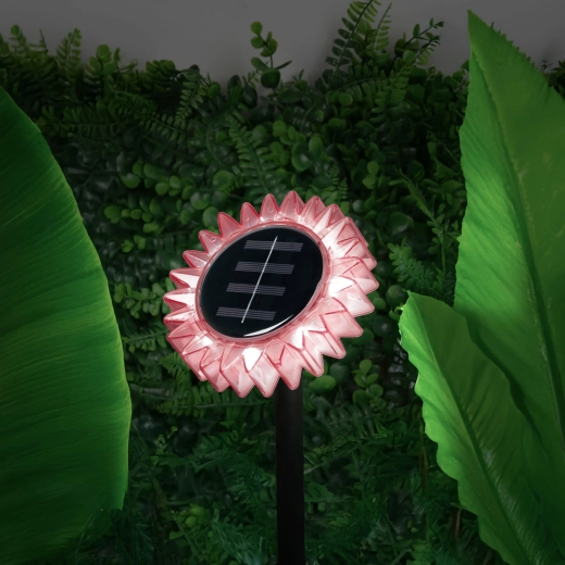 Solar power and automatic illumination