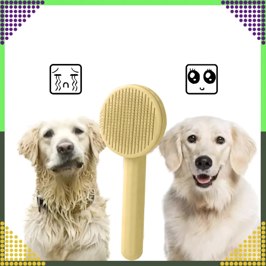 За кучета и котки, за къса и дълга козина