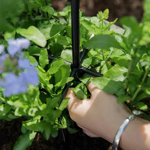 Stable support for abundant blooming