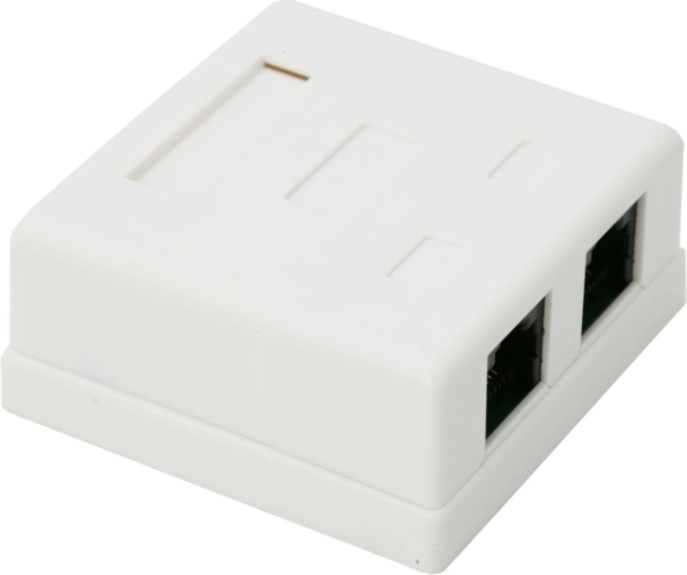 Double Surface-Mount RJ45 UTP Cat.5 Wall Socket