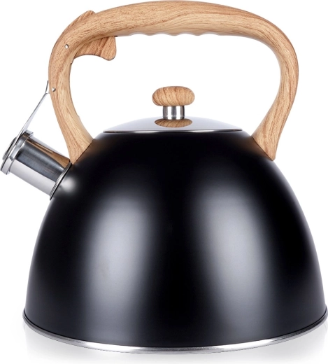 Whistling stainless steel stovetop kettle 3 L, black Vilde
